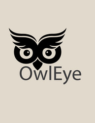 owl eye logo vector image