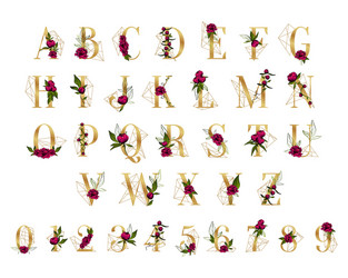 golden alphabet and numbers with peonies isolated vector image