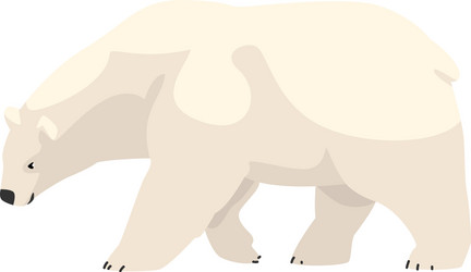 white polar bear arctic animal vector image