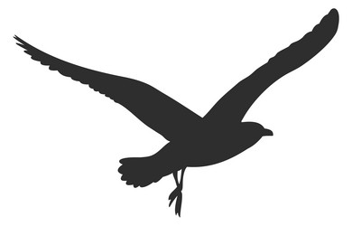 flying bird silhouette black wildlife animal icon vector image