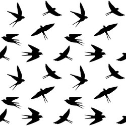 spring birds vector image