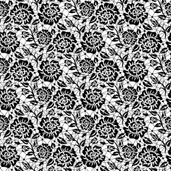 black rose lace vector image