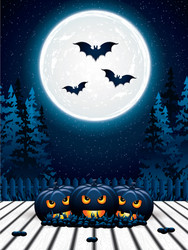 halloween pumpkins vector image