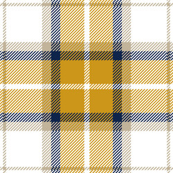 yellow and blue tartan plaid seamless pattern vector image