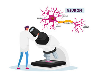 neurobiology or chemical laboratory research vector