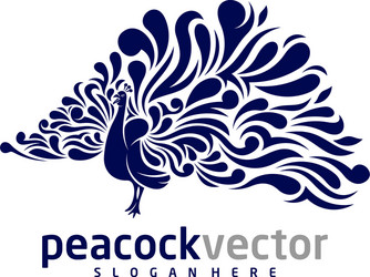 peacock logo design template bird vector image