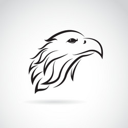 eagle vector image