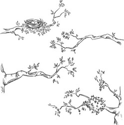 set of hand drawn branches vector image