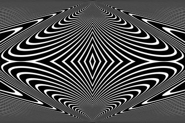 symmetrical pattern vector image