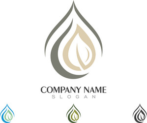 water drop logo template design vector image