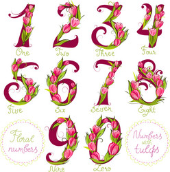 floral numbers made with tulips vector image