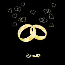 gold wedding rings on a black background vector image