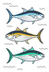 tuna linear style vector image