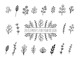 floral and herbal set botanical elements vector image