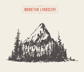 mountain peak pine forest style hand drawn vector image