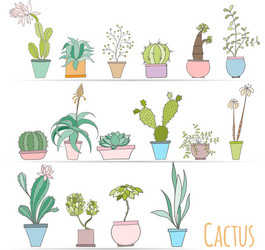 Set of cactus in pots isolated on white background vector