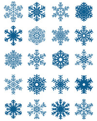 set of different blue snowflakes vector image