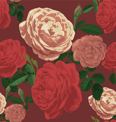 rose seamless pattern vector image