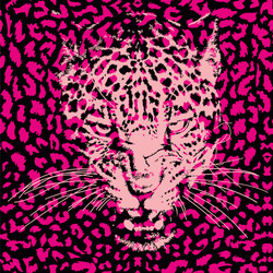 Seamless pattern leopard print vector