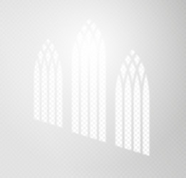 transparent overlay shadow from the church gothic vector image