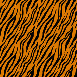 seamless pattern with tiger stripes vector image