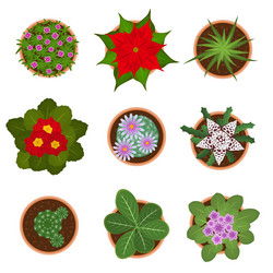 Cartoon color home plant top view icon set vector