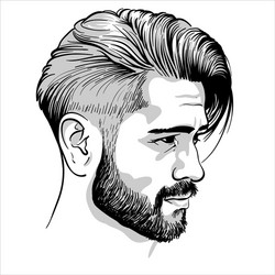 bearded stylish man portrait vector image