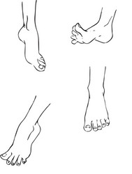 Set of 4 different feet in various poses vector