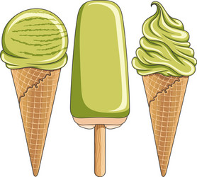 set of tasty pistachio ice cream vector image