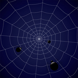 Concentric web with spiders on a blue background vector