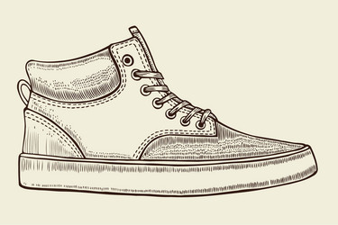 sketch of sport shoes vector image