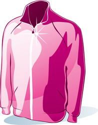 isolated jacket vector image