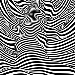 pattern with optical black white striped design vector image