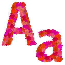 flower alphabet of red roses characters aa vector image