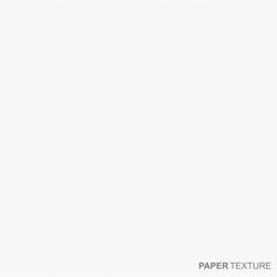 white paper texture vector image