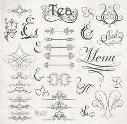 calligraphic design elements vector image