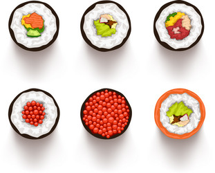 sushi set top view vector image