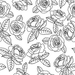 black outline roses vector image