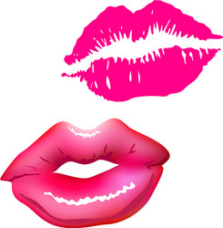 Lips sex pink icon women vector