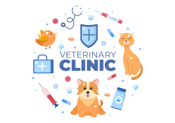 veterinary clinic doctor examining vaccination vector image