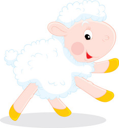 lamb vector image