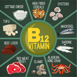 vitamin b12 image vector image