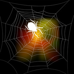 autumn background with a spiders web vector image