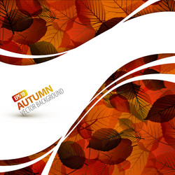 autumn background vector image