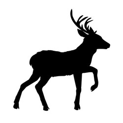 Deer silhouette vector