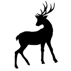 deer silhouette vector image