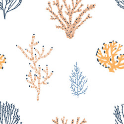 coral pattern seamless texture design marine vector image