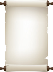 parchment vector image