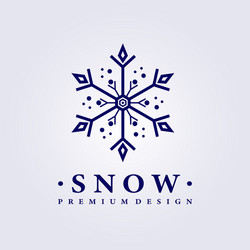 Snow logo design vector