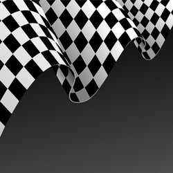 realistic detailed 3d checkered racing flag vector image